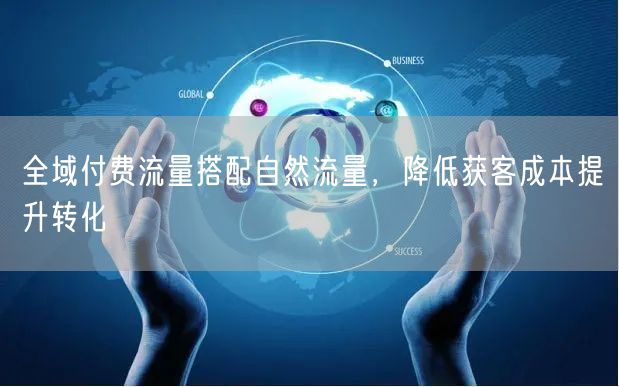 全域付费流量搭配自然流量，降低获客成本提升转化
