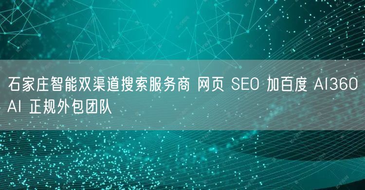 石家庄智能双渠道搜索服务商 网页 SEO 加百度 AI360AI 正规外包团队