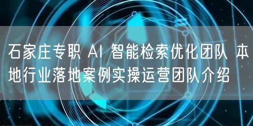 石家庄专职 AI 智能检索优化团队 本地行业落地案例实操运营团队介绍