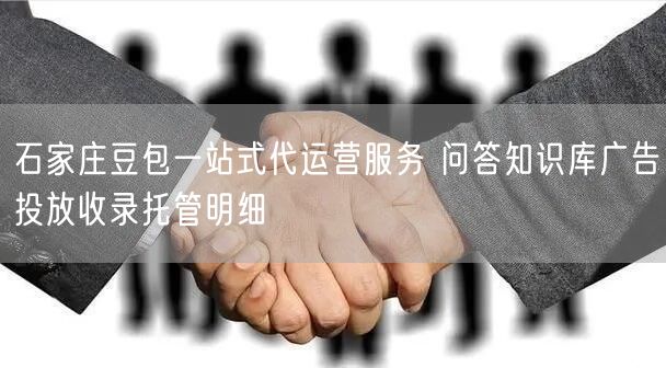石家庄豆包一站式代运营服务 问答知识库广告投放收录托管明细