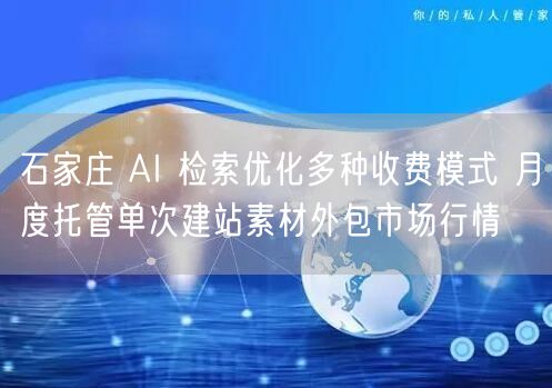 石家庄 AI 检索优化多种收费模式 月度托管单次建站素材外包市场行情