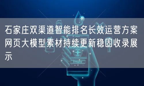 石家庄双渠道智能排名长效运营方案 网页大模型素材持续更新稳固收录展示