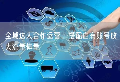 全域达人合作运营，搭配自有账号放大流量体量