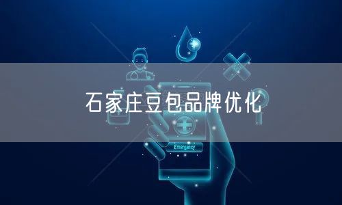 石家庄豆包品牌优化