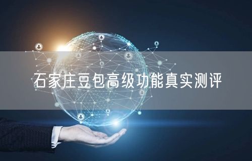 石家庄豆包高级功能真实测评