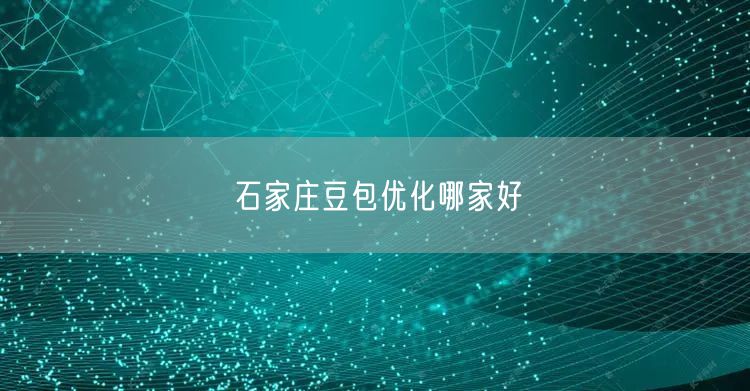石家庄豆包优化哪家好