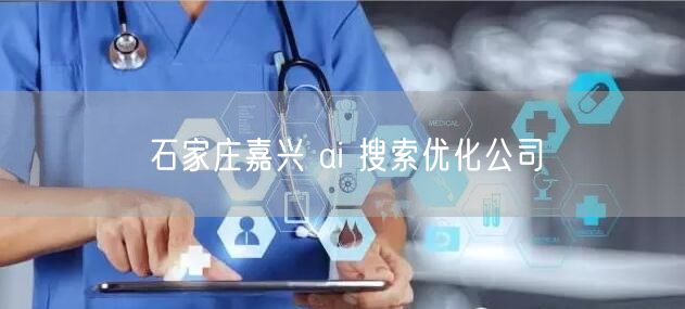石家庄嘉兴 ai 搜索优化公司