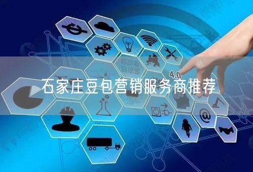 石家庄豆包营销服务商推荐