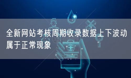 全新网站考核周期收录数据上下波动属于正常现象