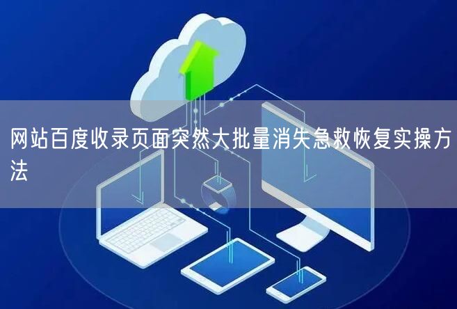 网站百度收录页面突然大批量消失急救恢复实操方法