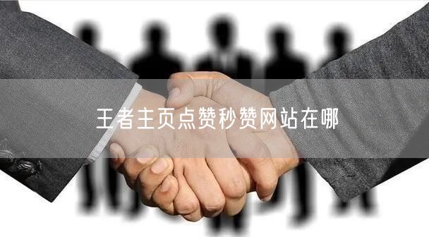 王者主页点赞秒赞网站在哪