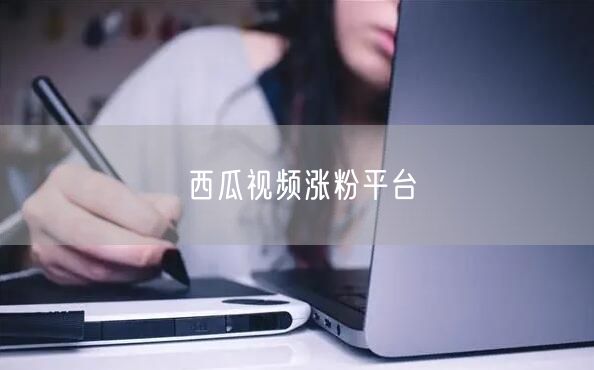 西瓜视频涨粉平台