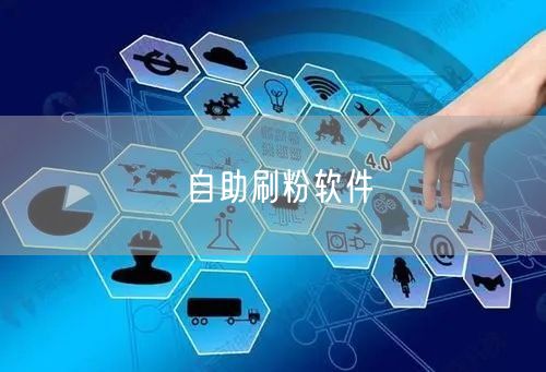自助刷粉软件
