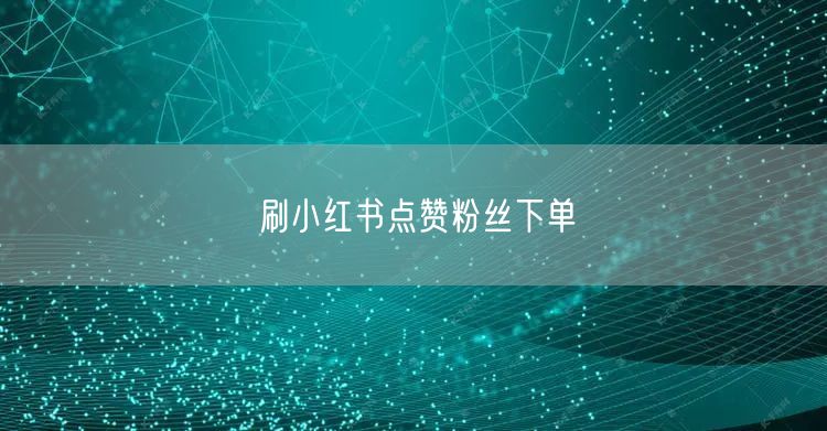刷小红书点赞粉丝下单