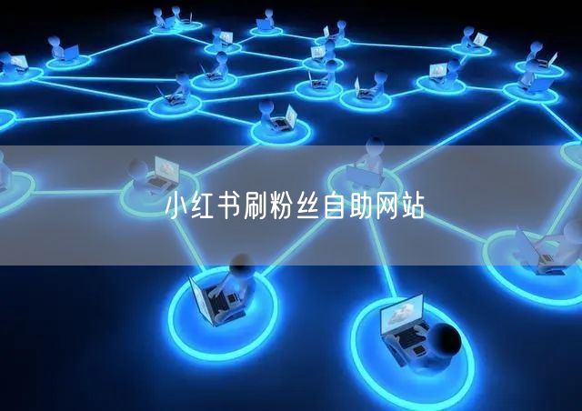 小红书刷粉丝自助网站