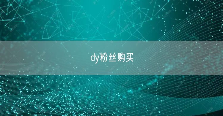 dy粉丝购买