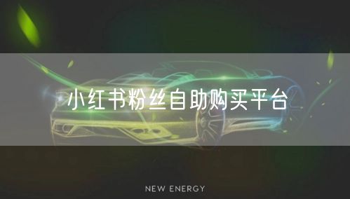 小红书粉丝自助购买平台