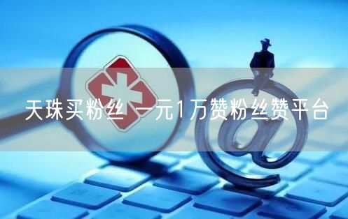 天珠买粉丝 一元1万赞粉丝赞平台