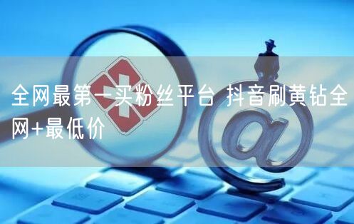 全网最第一买粉丝平台 抖音刷黄钻全网+最低价