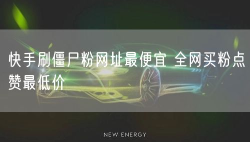 快手刷僵尸粉网址最便宜 全网买粉点赞最低价