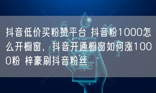 抖音低价买粉赞平台 抖音粉1000怎么开橱窗，抖音开通橱窗如何涨1000粉 梓豪刷抖音粉丝