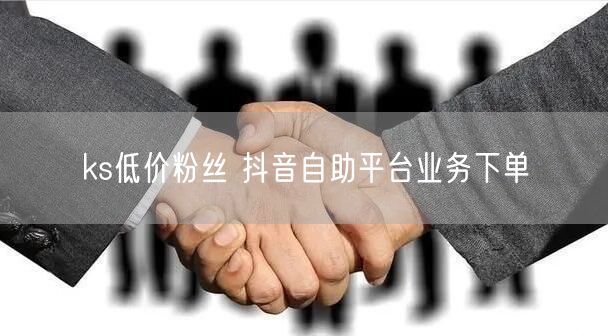 ks低价粉丝 抖音自助平台业务下单