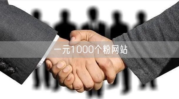 一元1000个粉网站