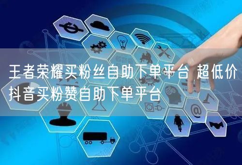 王者荣耀买粉丝自助下单平台 超低价抖音买粉赞自助下单平台