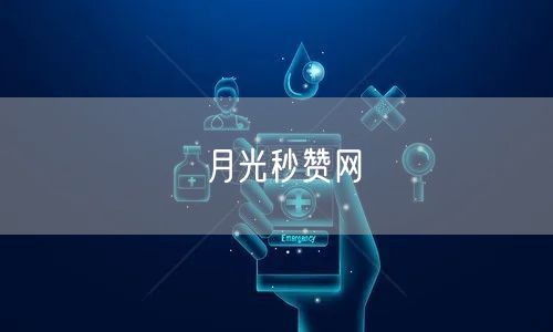 月光秒赞网