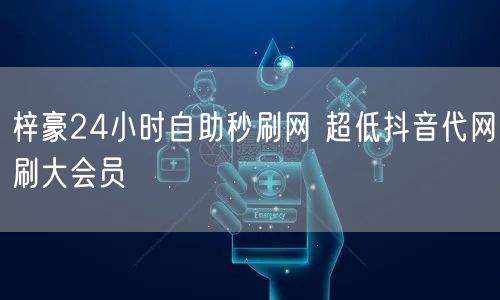 梓豪24小时自助秒刷网 超低抖音代网刷大会员