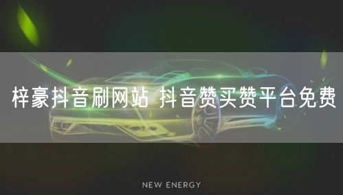 梓豪抖音刷网站 抖音赞买赞平台免费