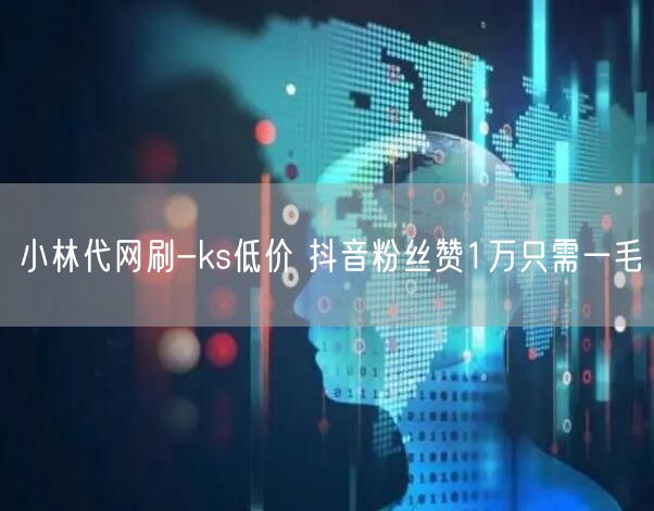 小林代网刷-ks低价 抖音粉丝赞1万只需一毛