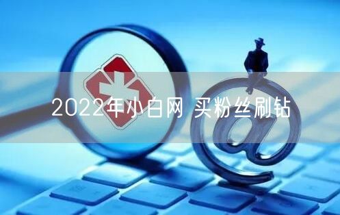 2022年小白网 买粉丝刷钻