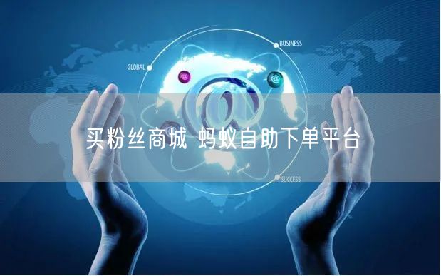 买粉丝商城 蚂蚁自助下单平台
