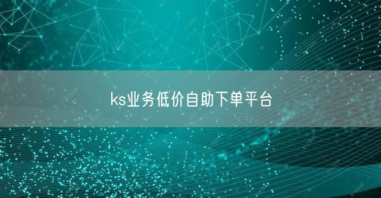 ks业务低价自助下单平台