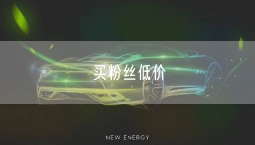 买粉丝低价