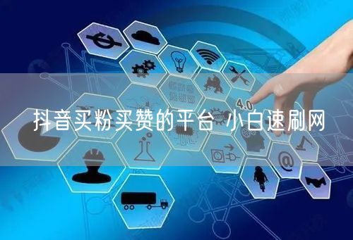 抖音买粉买赞的平台 小白速刷网