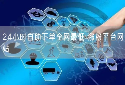 24小时自助下单全网最低 涨粉平台网站