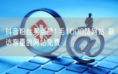 抖音粉丝买点赞1毛1000赞网站 刷访客量的网站免费