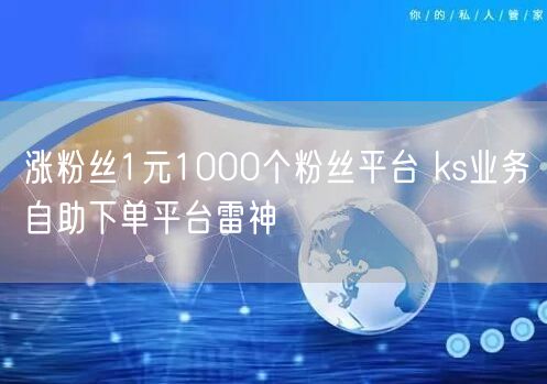 涨粉丝1元1000个粉丝平台 ks业务自助下单平台雷神