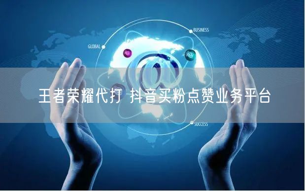 王者荣耀代打 抖音买粉点赞业务平台
