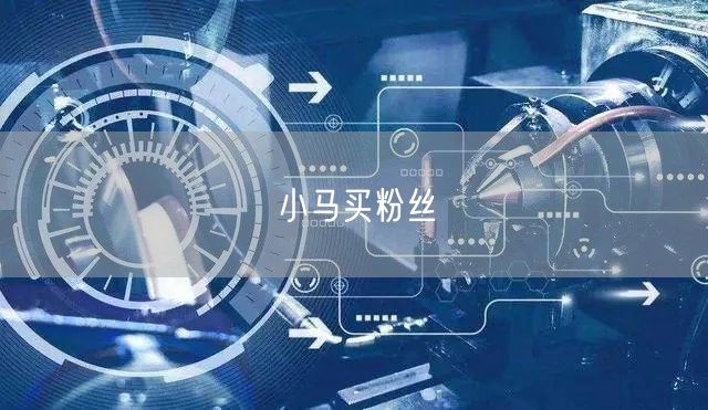 小马买粉丝