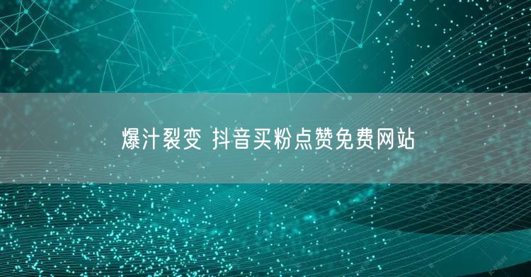 爆汁裂变 抖音买粉点赞免费网站