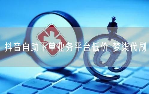 抖音自助下单业务平台低价 梦柒代刷