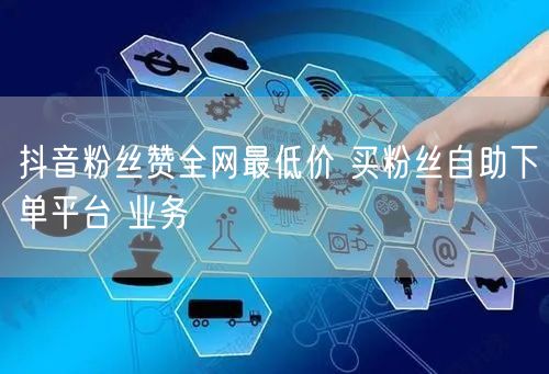 抖音粉丝赞全网最低价 买粉丝自助下单平台 业务