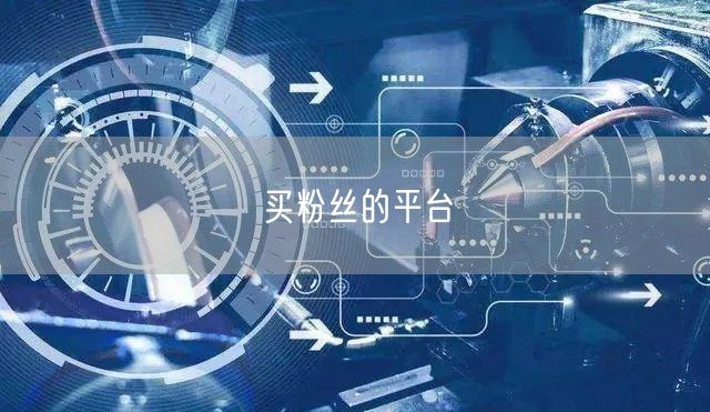 买粉丝的平台