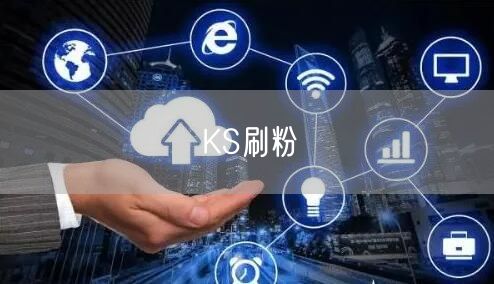 KS刷粉