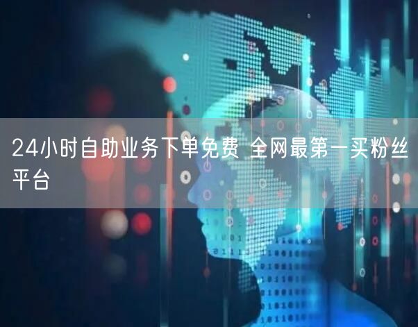 24小时自助业务下单免费 全网最第一买粉丝平台