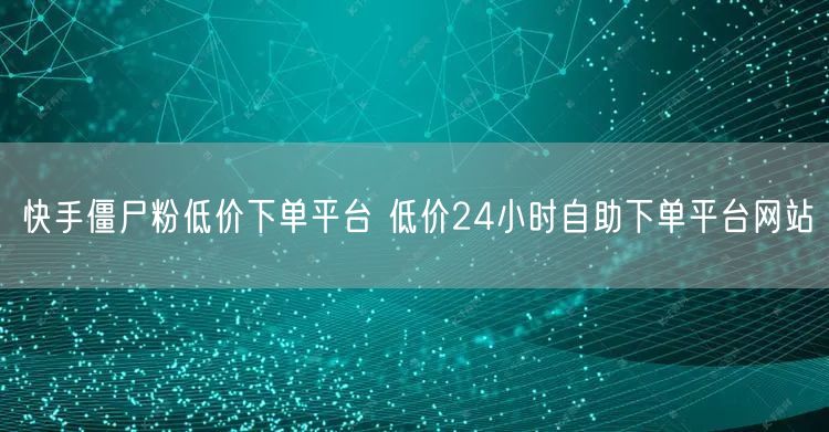 快手僵尸粉低价下单平台 低价24小时自助下单平台网站