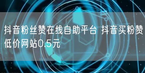 抖音粉丝赞在线自助平台 抖音买粉赞低价网站0.5元
